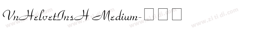 VnHelvetInsH Medium字体转换